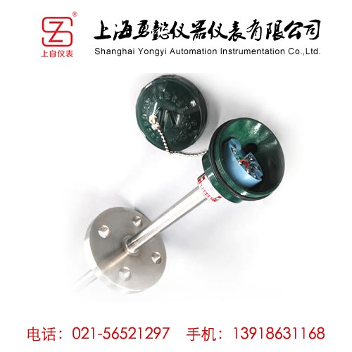 带热电阻温度变送器