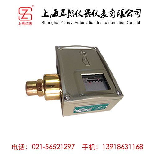 <b>D502/7D防爆压力控制器</b>