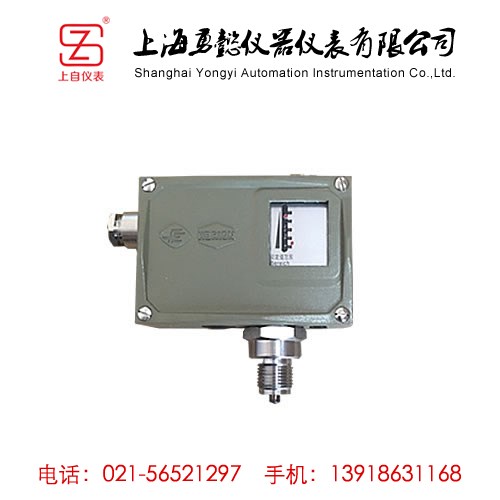 <b>D511/7D防爆型压力控制器</b>